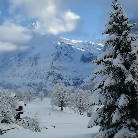 Chrinnengletscher Apartamento Grindelwald