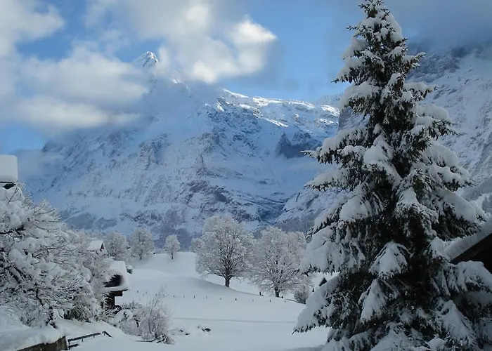 Chrinnengletscher Apartamento Grindelwald