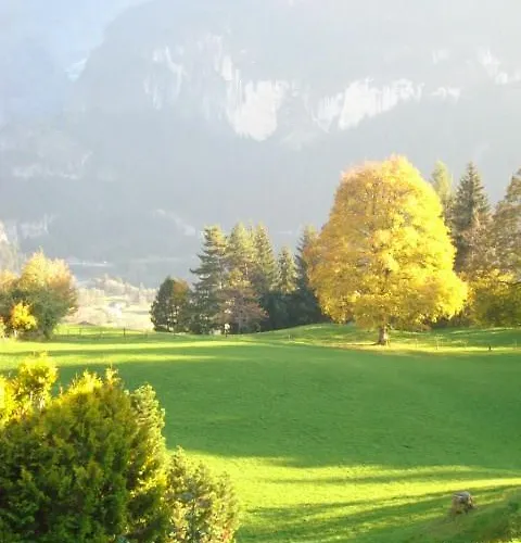 Chrinnengletscher Apartamento Grindelwald